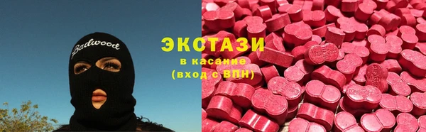 сатива Новозыбков