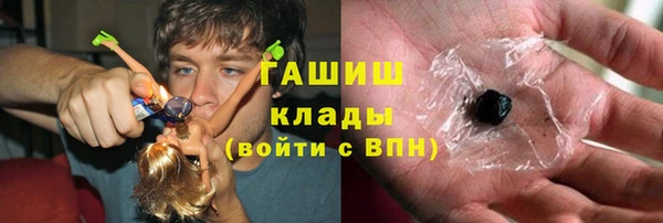 шишки Заволжье