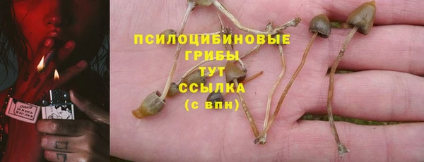 ГАЛЛЮЦИНОГЕННЫЕ ГРИБЫ Заволжск