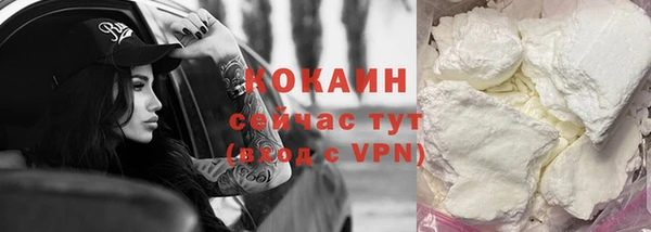 крисы Новокубанск