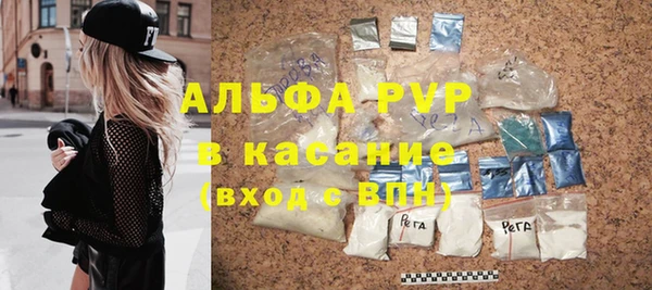 шишки Заволжье