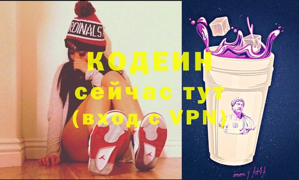 шишки Заволжье