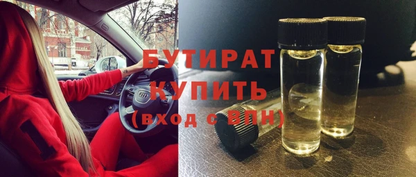 шишки Заволжье