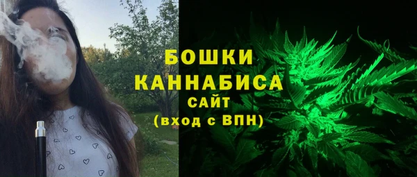 ГАЛЛЮЦИНОГЕННЫЕ ГРИБЫ Заволжск