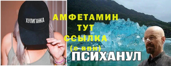 шишки Заволжье