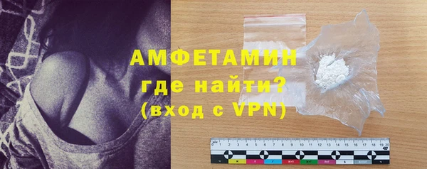 сатива Новозыбков