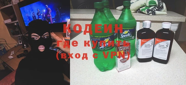 шишки Заволжье
